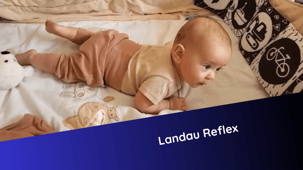 Ein Baby liegt in Bauchlage auf einer weichen Unterlage. Der Kopf ist erhoben, die Arme stützen sich ab – typische Haltung beim Landau-Reflex.
