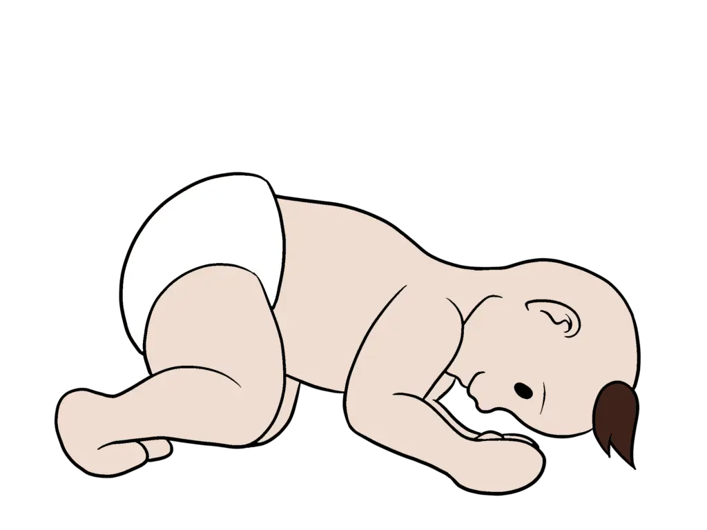 Tonischer Labyrinth-Reflex (TLR) - Balance zwischen Beugung und Streckung 1 Bild von einem Baby