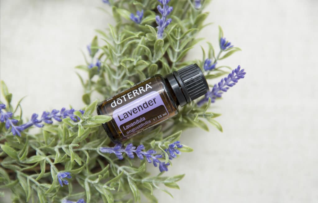 Braunes Glasflรคschchen doTERRA Lavender (15 ml) liegt auf einem Kranz aus frischen Lavendelzweigen โ natรผrliche, beruhigende Stimmung