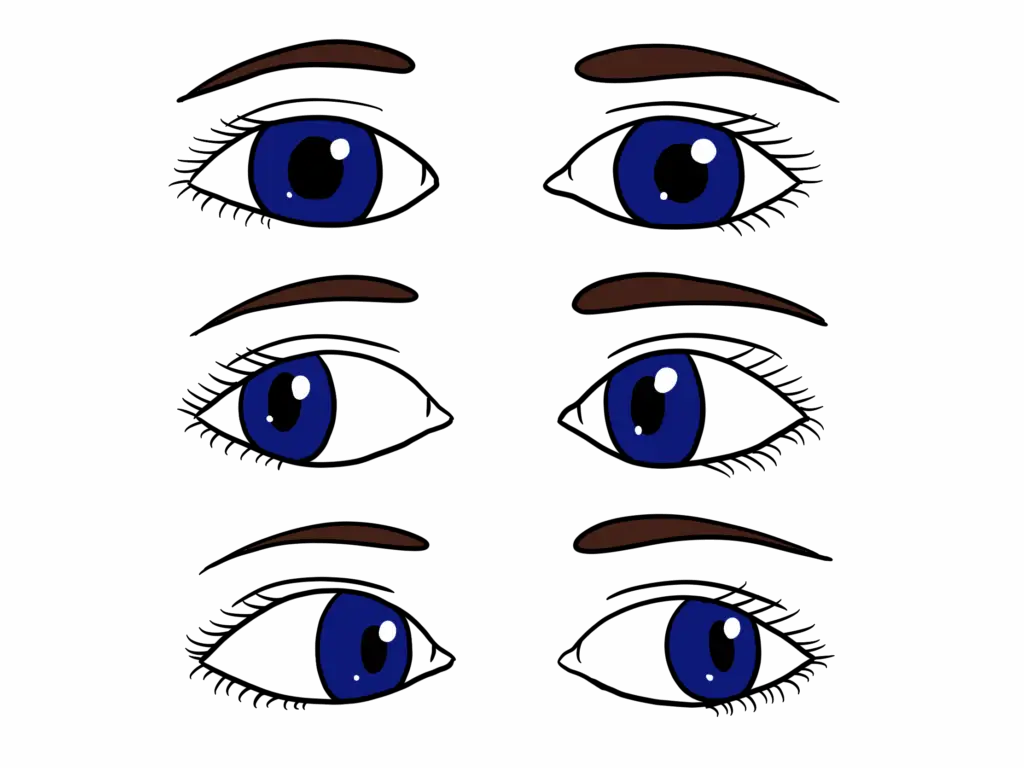 Augenbewegungen als Teil der Vagus-Grundübung zur Regulation bei Burnout: Blickwechsel nach rechts und links ohne Kopfdrehung.