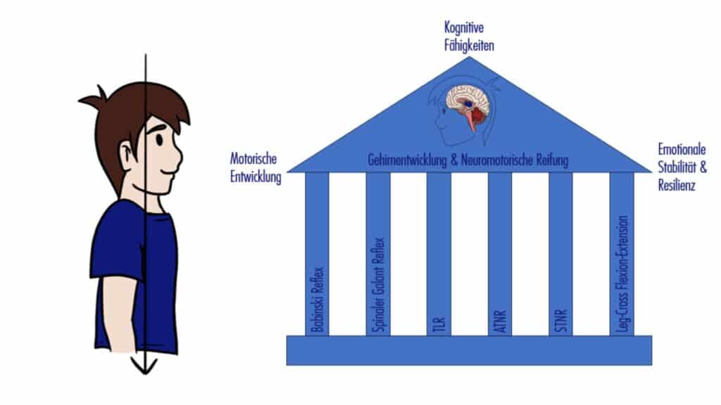 Grafik eines Hauses mit durchgehenden Sรคulen, die verschiedene frรผhkindliche Reflexe darstellen. Sie tragen das Dach mit der Aufschrift โGehirnentwicklung & Neuromotorische Reifungโ โ sinnbildlich fรผr ein stabiles Nervensystem.