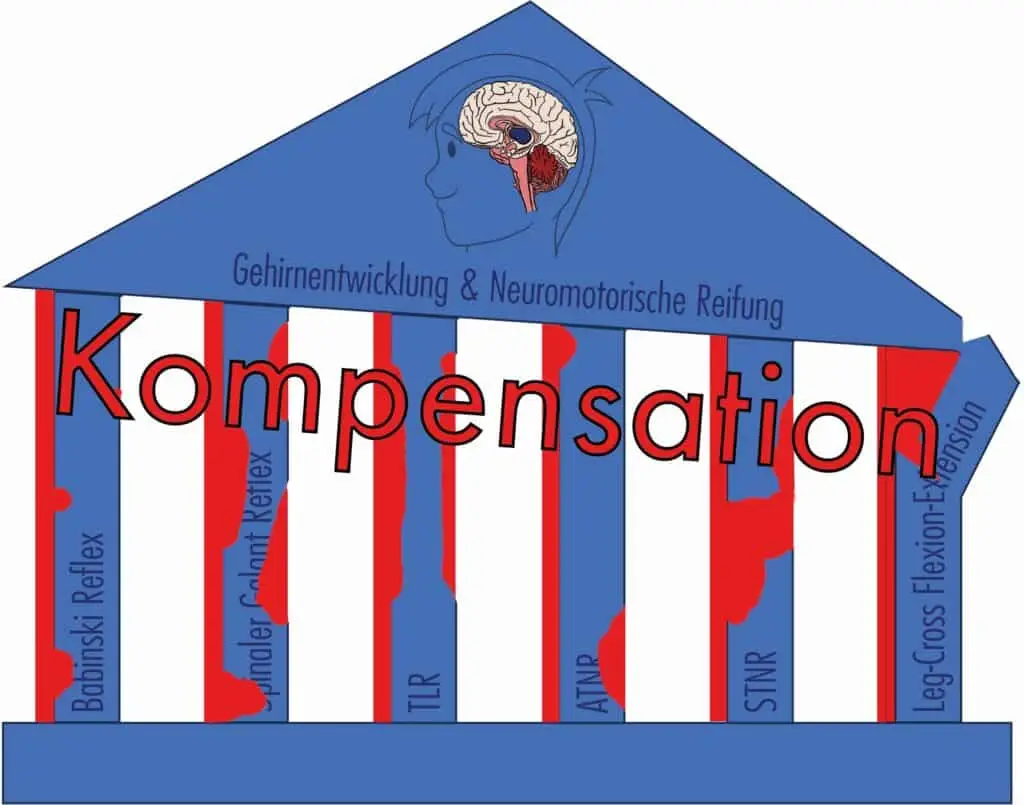 Gehirnentwicklung Grafik einer Säule